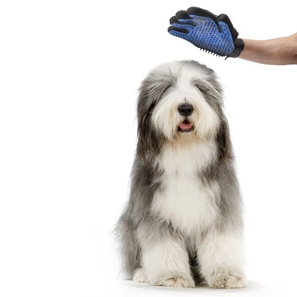 NICE PAWS Grooming Mit (1 piece) - Picture 1 of 3